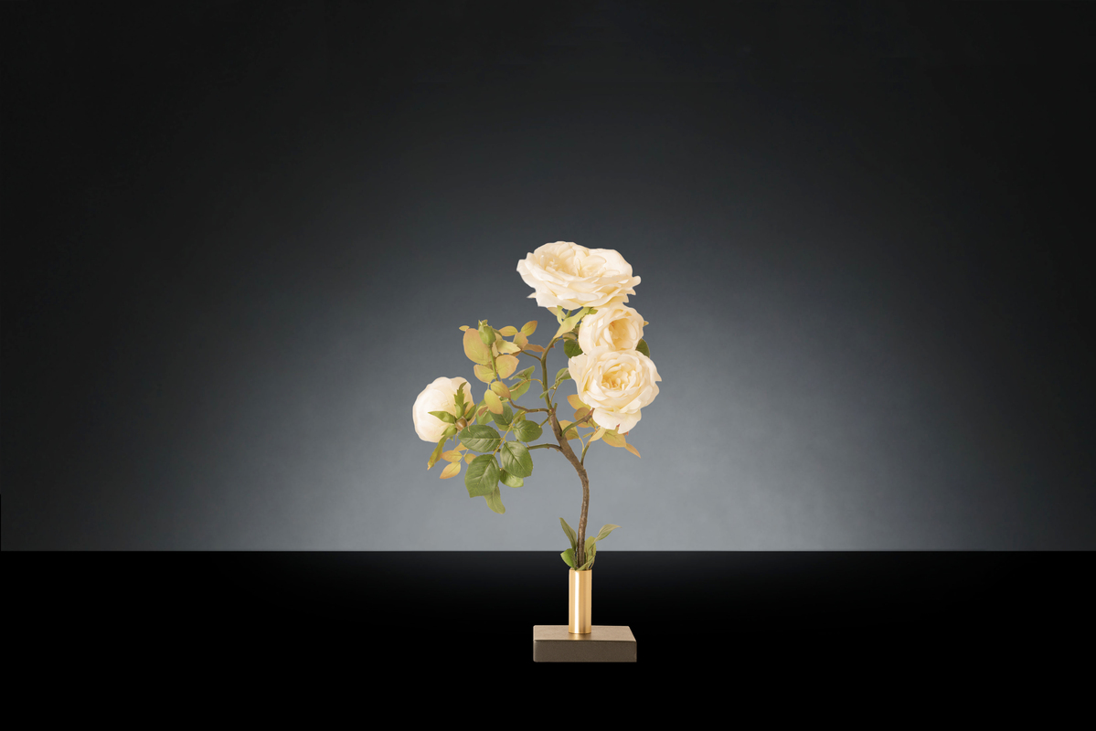 1700218564-1142896.96 SINGLE ENGLISH ROSE_2LOW